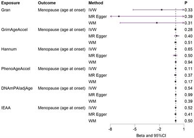 Exploring the causal association between epigenetic clocks and menopause age: insights from a bidirectional Mendelian randomization study